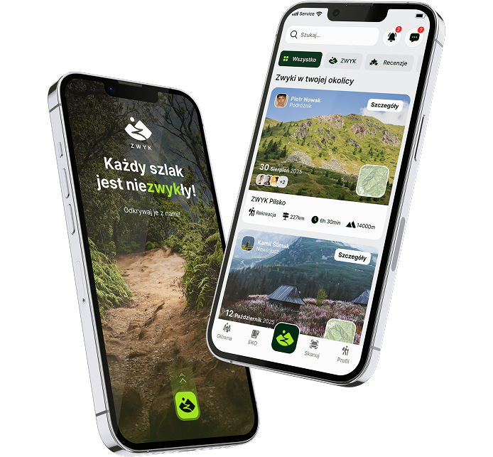 Feature Illustration